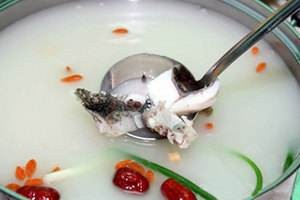 馬仔斑魚
