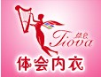 體會內(nèi)衣加盟