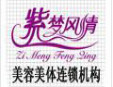 紫夢風(fēng)情美容院加盟