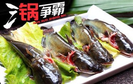 三鍋爭霸火鍋