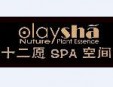 歐韻婭詩(shī)十二愿SPA加盟