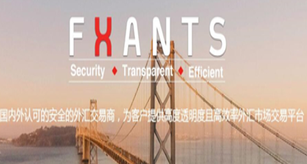 FXAnts蟻聚
